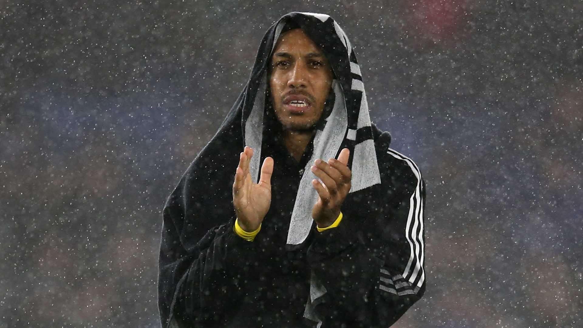 启了球队在 启了球队在